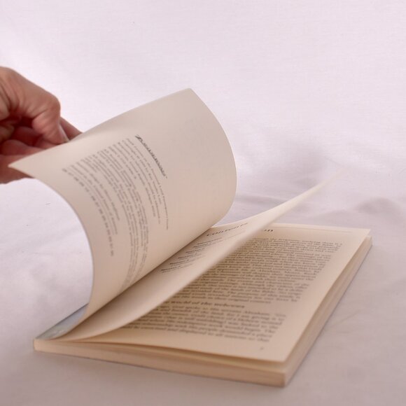 Faith Lessons on the Promised Land Paperback Raynard Vander Laan - Picture 7 of 11